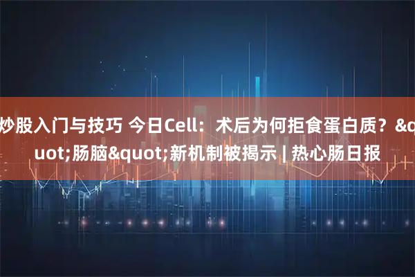 炒股入门与技巧 今日Cell：术后为何拒食蛋白质？"肠脑"新机制被揭示 | 热心肠日报