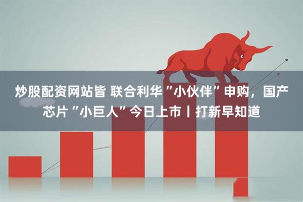炒股配资网站皆 联合利华“小伙伴”申购，国产芯片“小巨人”今日上市丨打新早知道