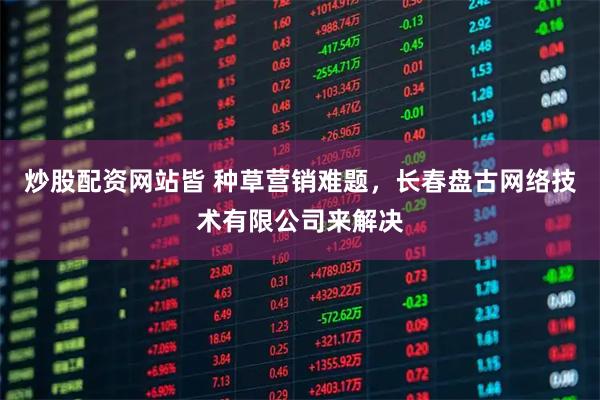 炒股配资网站皆 种草营销难题，长春盘古网络技术有限公司来解决